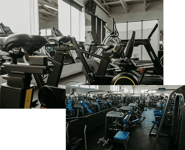 Cardio machines and resistance equipment inside Fit & Pure gym
